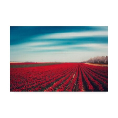 Dirk Wastenhagen 'Tulip Crops' Canvas Art,30x47